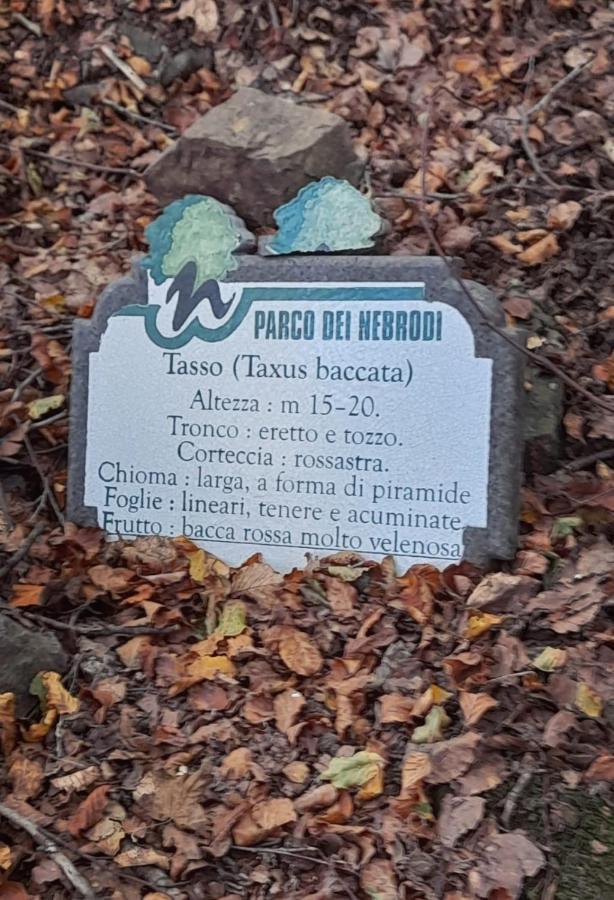 Calacta Casa Mia Caronia Zewnętrze zdjęcie